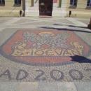 Coats of arms of Olesnica in front of town hall